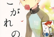 Tags: hentai (Pict. in Torscrape)