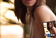 Tags: image (Pict. in Kubiak92)