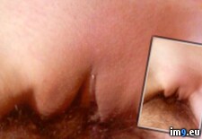 Tags: amateur, nude, nudes, webcam (Pict. in New Webslut from chatpic)