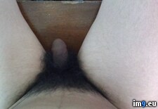 Tags: shemale (Pict. in Shemalemeat)