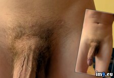 1000010833 ( ) - 259 KB Tags: (Pict. in Share My Dick over Internet)