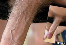 1000010852 ( ) - 442 KB Tags: (Pict. in Share My Dick over Internet)