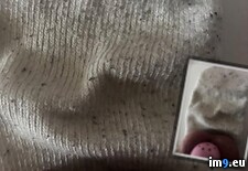 Tags:  (Pict. in Gay sock faggot fetish porn)