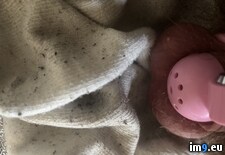 Tags:  (Pict. in Faggot slut gay porn)