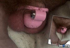 Tags:  (Pict. in Faggot slut gay porn)