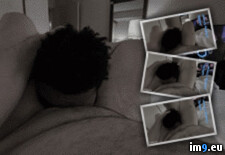 Tags: billy, billyevans, blowing, blowjob, chaser, chocking, chubby, cock, evans, lolitzbj, oral, sissy (GIF in Lolitzbj Billy evans Chocking On Chubby Dick)