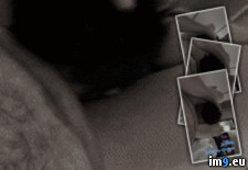 Tags: billy, billyevans, blowing, blowjob, chaser, chocking, chubby, cock, evans, lolitzbj, oral, sissy (GIF in Lolitzbj Billy evans Chocking On Chubby Dick)