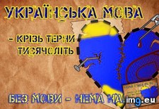 Tags: 546x380 (Pict. in Rehost)