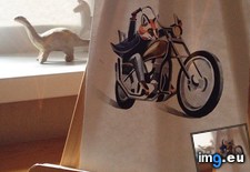 Tags: 71e4cda83ee211e38c4722000a9f1966 (Pict. in Sasha Unisex)