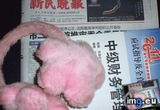 120406oa92 (#Porn #Tits #Pussy #Cunt #Asians) - 69 KB Tags: asians, cunt, porn, pussy, tits (Pict. in amasian)