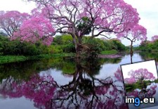 Tags: image (Pict. in Wadie 0)