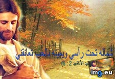 Tags: image (Pict. in Wadie 0)