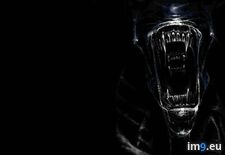 15256_aliens_xenomorph ( #Aliens) - 21 KB Tags: aliens (Pict. in Instant Upload)