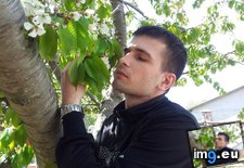 Tags: image (Pict. in KDE PasteBin)