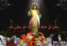 Tags: image (Pict. in Wadie 0)