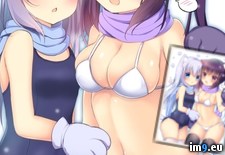Tags: animal, artist, bangs, bikini, black, blue, blush, breasts, cat, character, chestnut, chino, cleavage, ears, eyes, girls, legwear, mouth, niki, rize, scarf, swimsuit, tail (Pict. in Instant Upload)