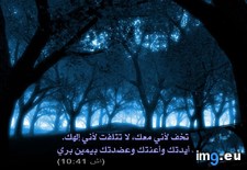 Tags: image (Pict. in Wadie 0)