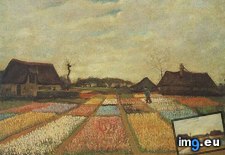 Tags: bulb, fields (Pict. in Vincent van Gogh - 1881-83 Earliest Paintings)