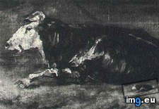 Tags: cow, lying (Pict. in Vincent van Gogh - 1881-83 Earliest Paintings)