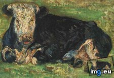 Tags: cow, lying (Pict. in Vincent van Gogh - 1881-83 Earliest Paintings)