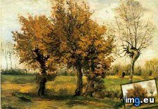 Tags: autumn, landscape, four, trees, art, gogh, painting, paintings, van, vincent, architecture, antwerp (Pict. in Vincent van Gogh Paintings - 1883-86 Nuenen and Antwerp)