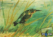 Tags: kingfisher, art, gogh, painting, paintings, van, vincent, vincentvangogh, paris (Pict. in Vincent van Gogh Paintings - 1886-88 Paris)