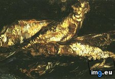 Tags: bloaters, life (Pict. in Vincent van Gogh Paintings - 1886-88 Paris)