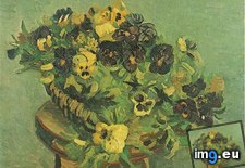 Tags: pansies, art, gogh, painting, paintings, van, vincent, vincentvangogh, paris (Pict. in Vincent van Gogh Paintings - 1886-88 Paris)