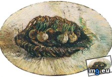 Tags: basket, sprouting, bulbs, art, gogh, painting, paintings, van, vincent, vincentvangogh, paris (Pict. in Vincent van Gogh Paintings - 1886-88 Paris)