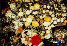 Tags: chrysanthemums, wild, flowers, vase, art, gogh, painting, paintings, van, vincent, vincentvangogh, paris (Pict. in Vincent van Gogh Paintings - 1886-88 Paris)