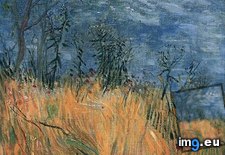 Tags: edge, poppies, art, gogh, painting, paintings, van, vincent, vincentvangogh, paris (Pict. in Vincent van Gogh Paintings - 1886-88 Paris)