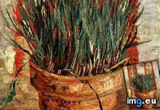 Tags: flowerpot, art, gogh, painting, paintings, van, vincent, vincentvangogh, paris (Pict. in Vincent van Gogh Paintings - 1886-88 Paris)