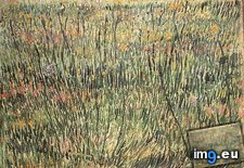 Tags: pasture, bloom, art, gogh, painting, paintings, van, vincent, vincentvangogh, paris (Pict. in Vincent van Gogh Paintings - 1886-88 Paris)