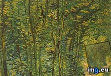 Tags: path, woods (Pict. in Vincent van Gogh Paintings - 1886-88 Paris)