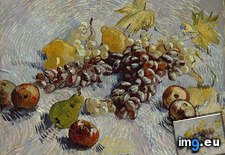 Tags: life, apples, pears, lemons, grapes, art, gogh, painting, paintings, van, vincent, vincentvangogh, paris (Pict. in Vincent van Gogh Paintings - 1886-88 Paris)