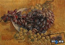 Tags: life, grapes, art, gogh, painting, paintings, van, vincent, vincentvangogh, paris (Pict. in Vincent van Gogh Paintings - 1886-88 Paris)