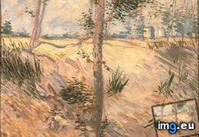 Tags: day, field, sunny, trees (Pict. in Vincent van Gogh Paintings - 1886-88 Paris)
