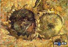 Tags: two, cut, sunflowers, version, art, gogh, painting, paintings, van, vincent, vincentvangogh, paris (Pict. in Vincent van Gogh Paintings - 1886-88 Paris)