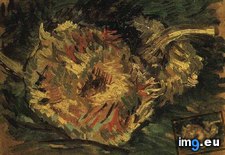 Tags: cut, sunflowers, two (Pict. in Vincent van Gogh Paintings - 1886-88 Paris)