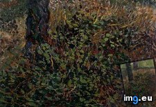 Tags: undergrowth, art, gogh, painting, paintings, van, vincent, vincentvangogh, paris (Pict. in Vincent van Gogh Paintings - 1886-88 Paris)