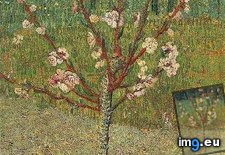 Tags: almond, tree, blossom, art, gogh, painting, paintings, van, vincent (Pict. in Vincent van Gogh Paintings - 1888-89 Arles)