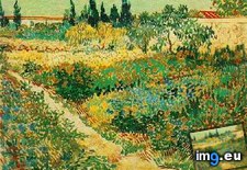 Tags: flowering, garden, path, art, gogh, painting, paintings, van, vincent (Pict. in Vincent van Gogh Paintings - 1888-89 Arles)