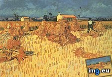 Tags: harvest, provence, art, gogh, painting, paintings, van, vincent (Pict. in Vincent van Gogh Paintings - 1888-89 Arles)