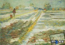 Tags: landscape, snow, art, gogh, painting, paintings, van, vincent (Pict. in Vincent van Gogh Paintings - 1888-89 Arles)