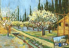 Tags: blossom, bordered, cypresses, orchard (Pict. in Vincent van Gogh Paintings - 1888-89 Arles)