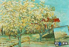 Tags: orchard, blossom, version, art, gogh, painting, paintings, van, vincent (Pict. in Vincent van Gogh Paintings - 1888-89 Arles)