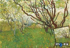 Tags: orchard, blossom, art, gogh, painting, paintings, van, vincent (Pict. in Vincent van Gogh Paintings - 1888-89 Arles)