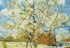 Tags: peach, tree, blossom, art, gogh, painting, paintings, van, vincent (Pict. in Vincent van Gogh Paintings - 1888-89 Arles)