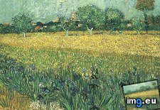 Tags: arles, irises, foreground, art, gogh, painting, paintings, van, vincent (Pict. in Vincent van Gogh Paintings - 1888-89 Arles)