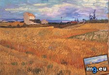 Tags: wheat, field, art, gogh, painting, paintings, van, vincent (Pict. in Vincent van Gogh Paintings - 1888-89 Arles)